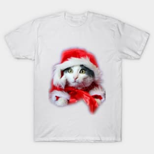 christmas cats new year 2020 T-shirt T-Shirt